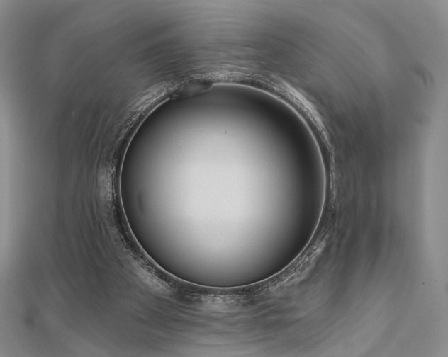 X0000111000105200906191559