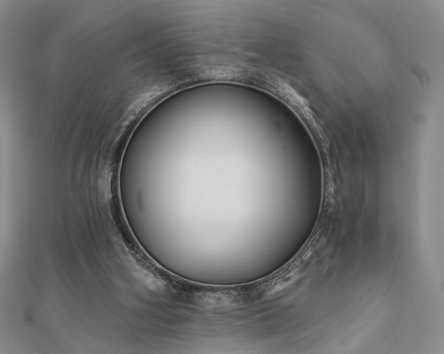 X0000111000106200906191559