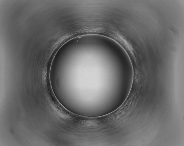 X0000111000107200906191559