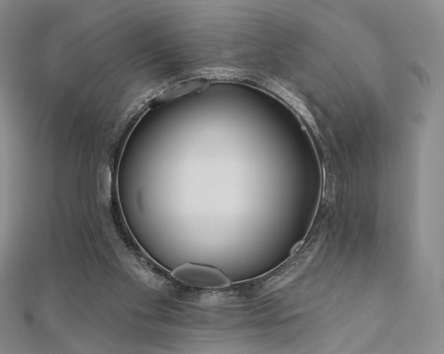 X0000111000109200906191559