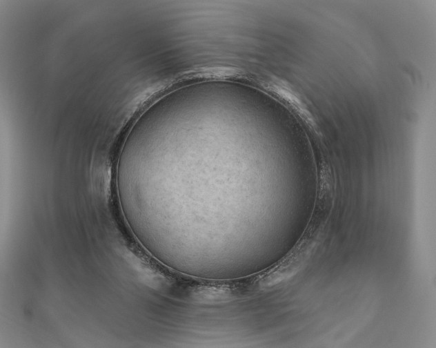 X0000111000110200906191559