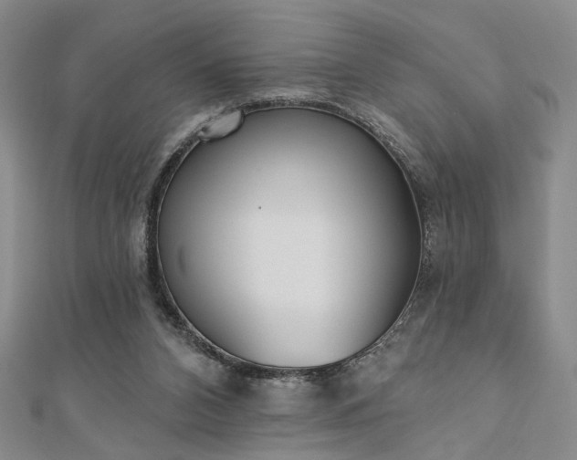 X0000111000112200906191559