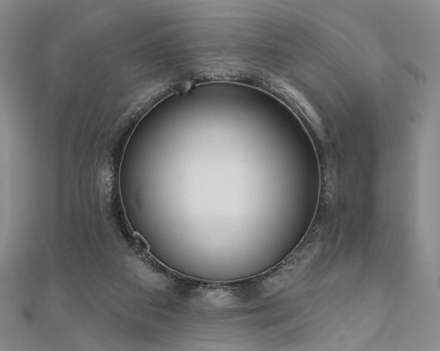 X0000111000113200906191559