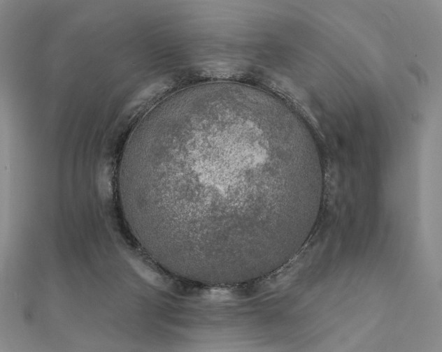 X0000111000114200906191559