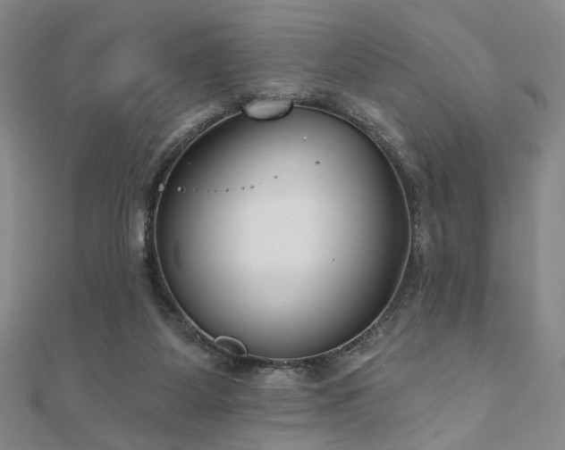 X0000111000115200906191559