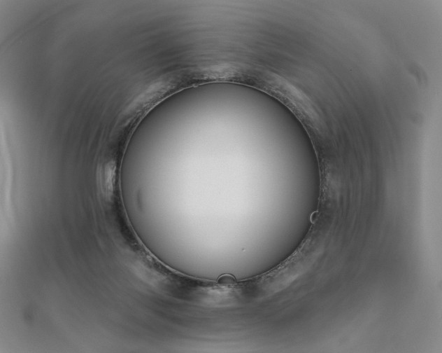 X0000111000118200906191559