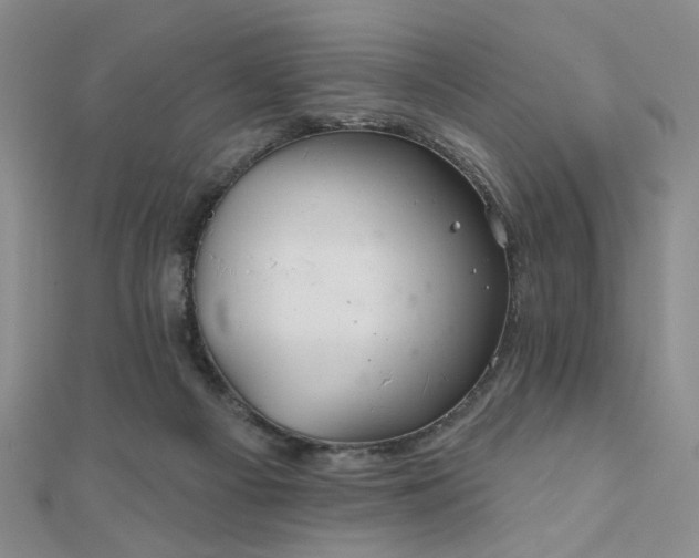 X0000111000121200906191559