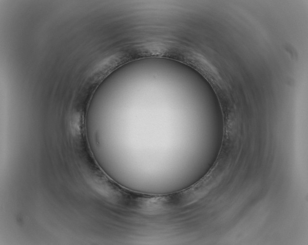 X0000111000122200906191559