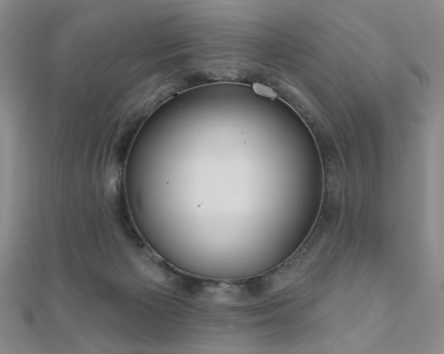 X0000111000125200906191559