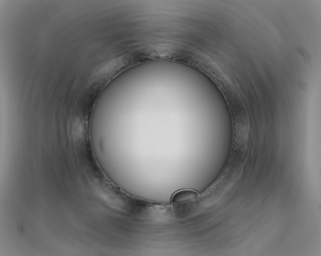 X0000111000126200906191559