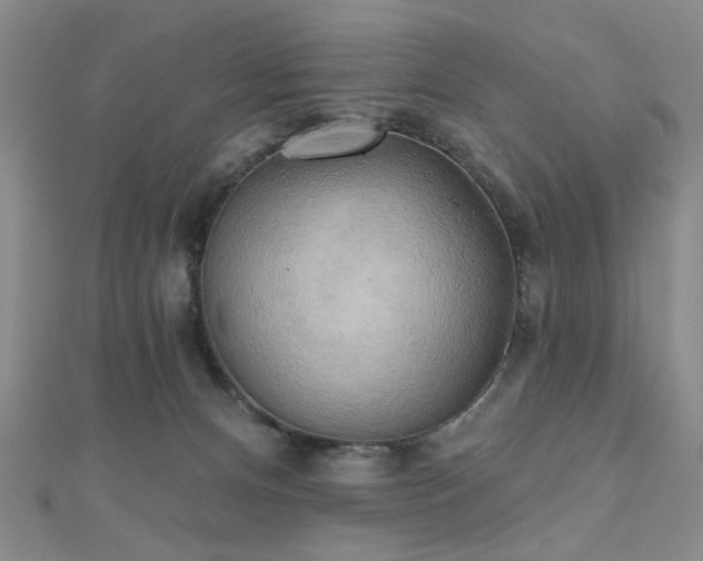 X0000111000128200906191559