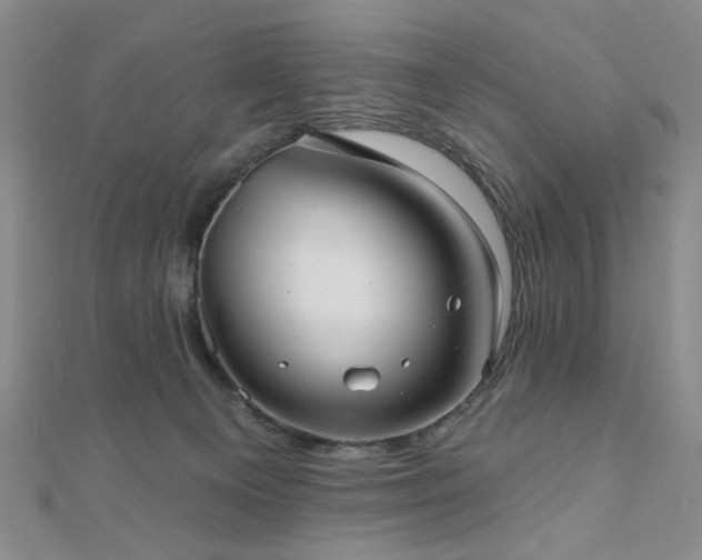 X0000111000129200906191559