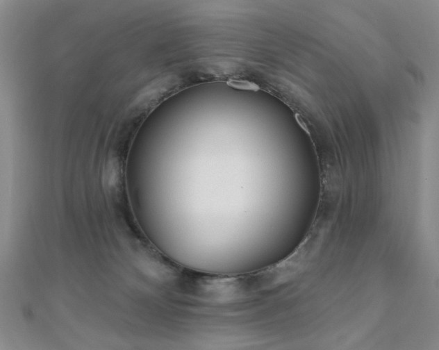 X0000111000132200906191559