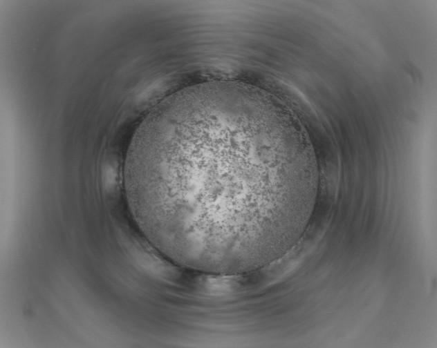 X0000111000134200906191559