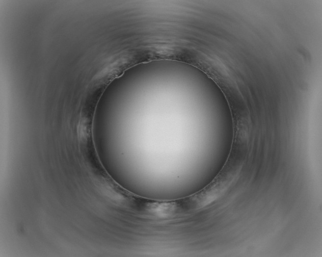 X0000111000135200906191559