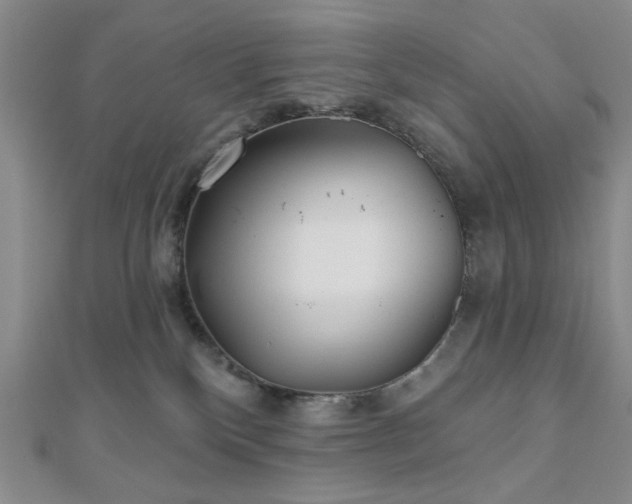 X0000111000136200906191559