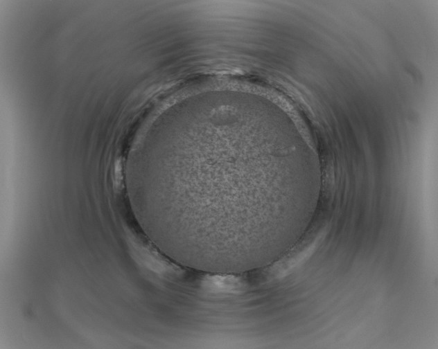 X0000111000137200906191559