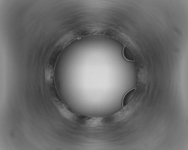 X0000111000138200906191558