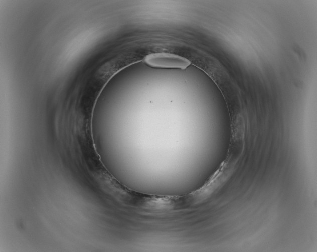 X0000111000140200906191558