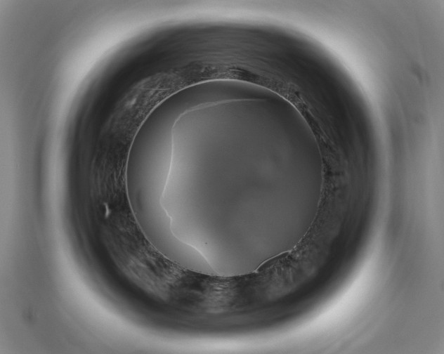 X0000111000143200906191558