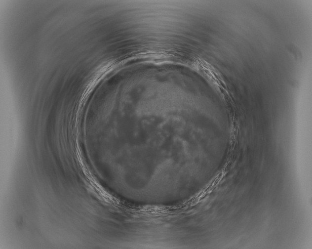 X0000111000145200906191558