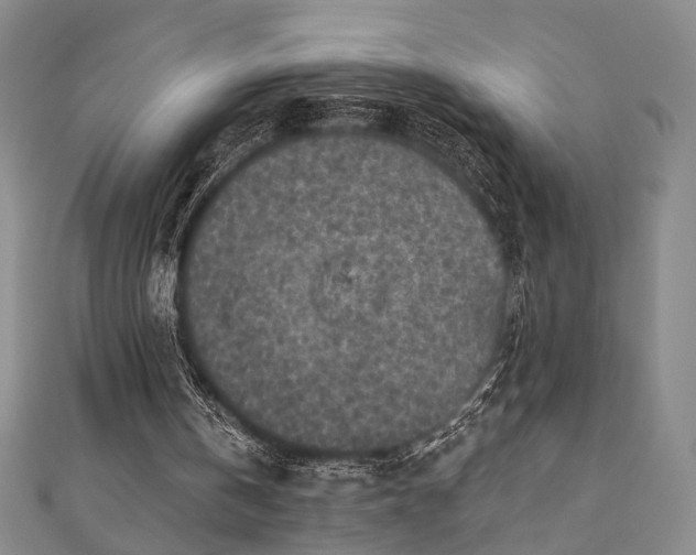 X0000111000146200906191558