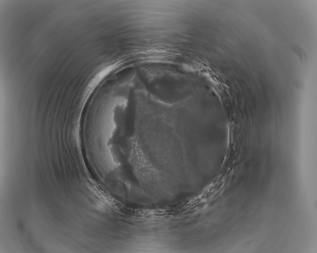 X0000111000147200906191558