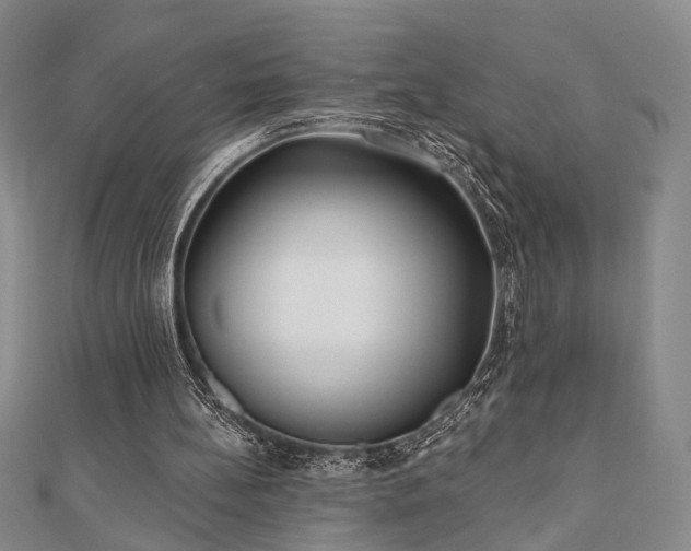 X0000111000148200906191558