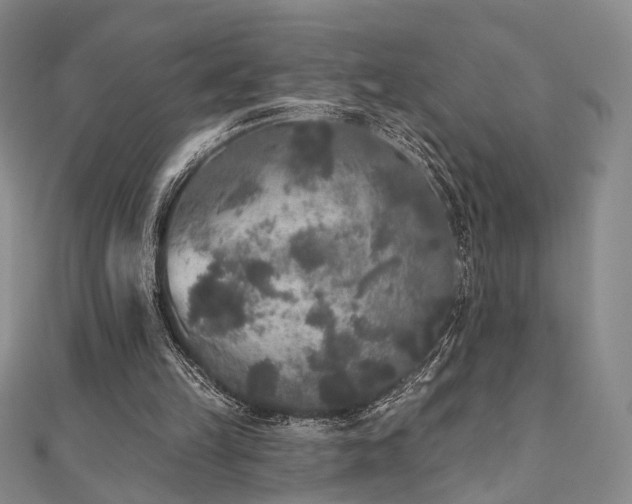 X0000111000149200906191558