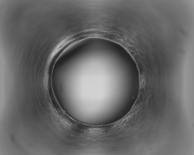 X0000111000150200906191558