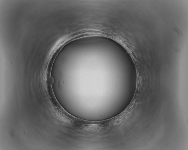 X0000111000151200906191558