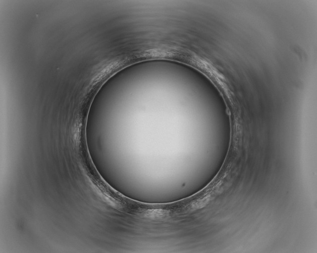 X0000111000153200906191558