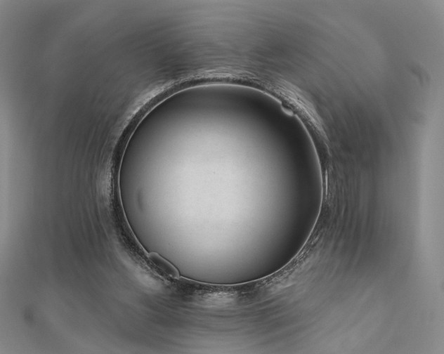 X0000111000156200906191558