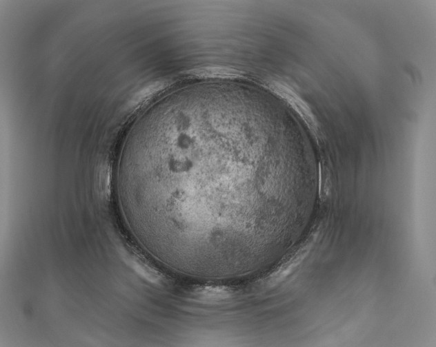 X0000111000157200906191558