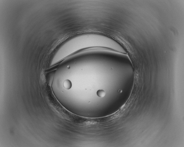 X0000111000158200906191558