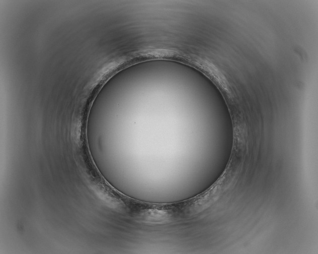 X0000111000159200906191558