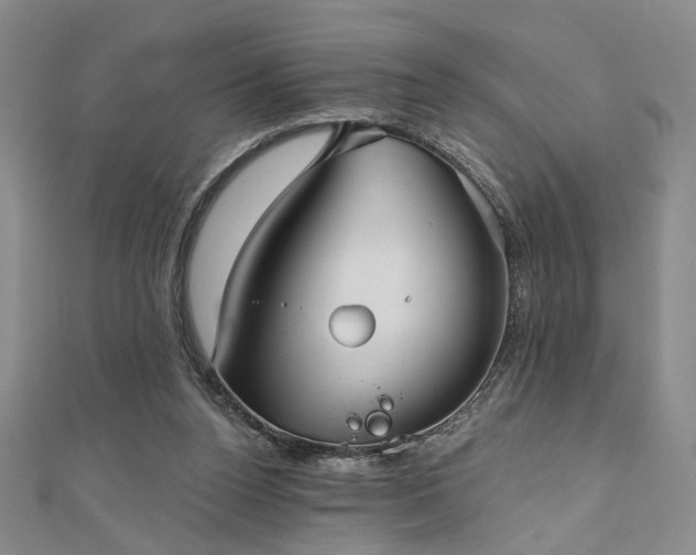 X0000111000160200906191558