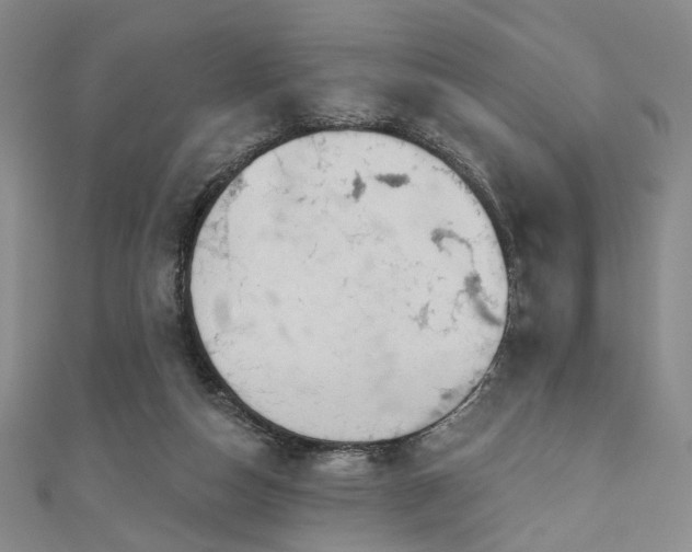 X0000111000162200906191558