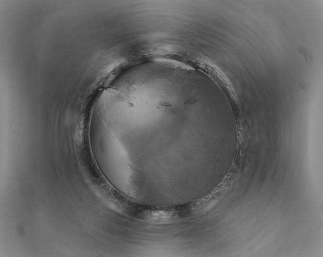 X0000111000163200906191558