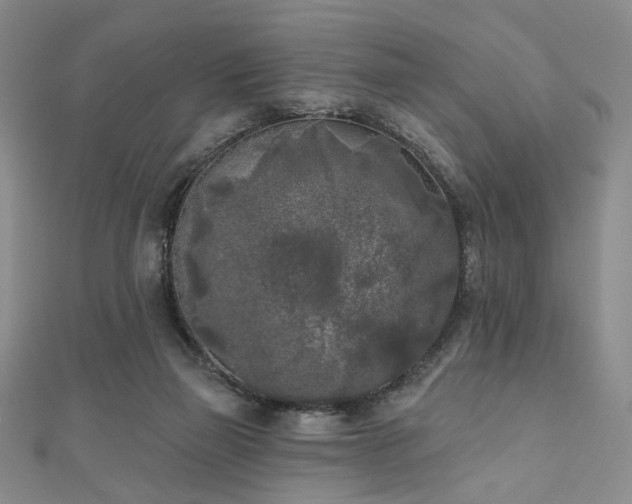 X0000111000165200906191558