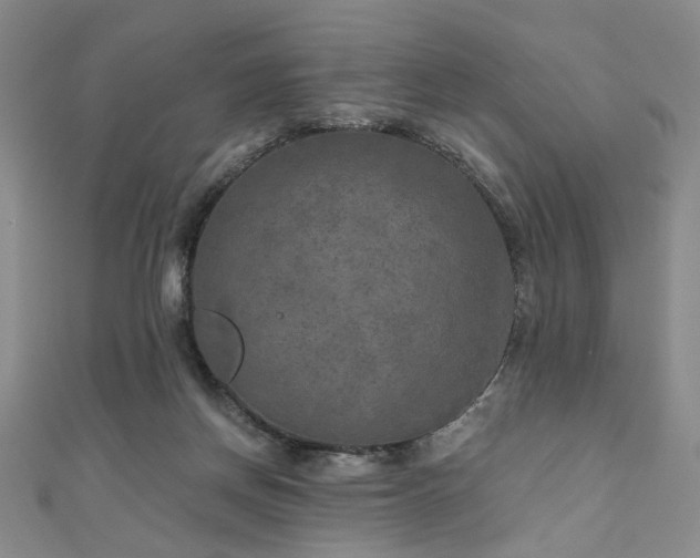 X0000111000166200906191558