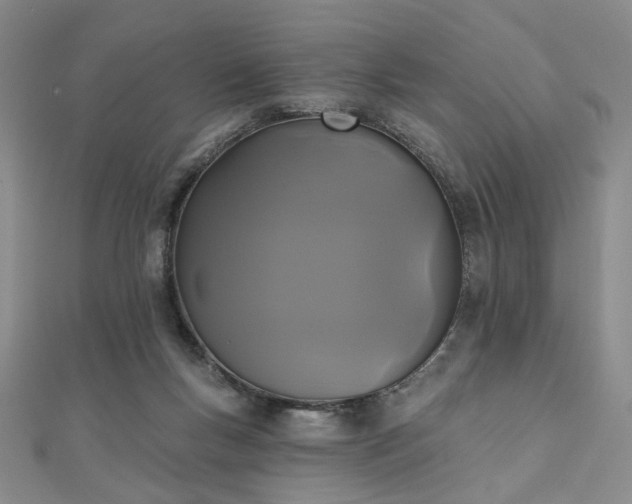 X0000111000167200906191558