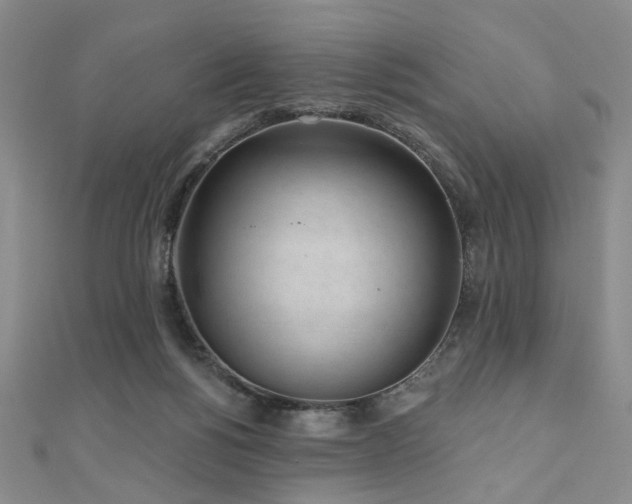 X0000111000168200906191558