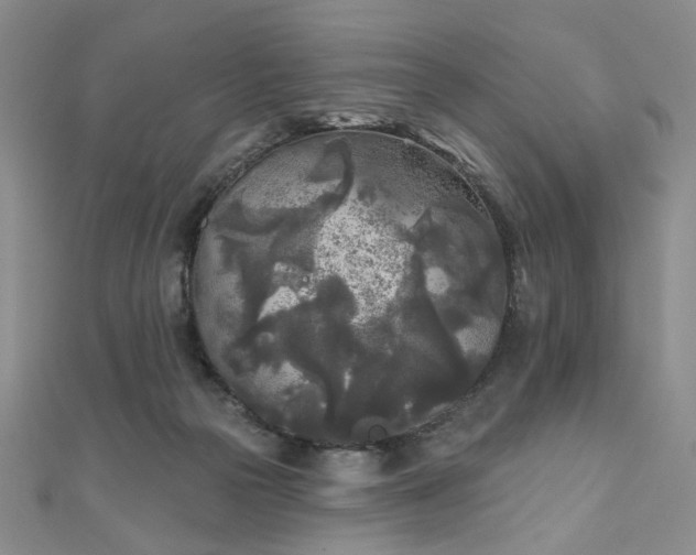 X0000111000169200906191558