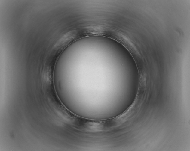 X0000111000170200906191558