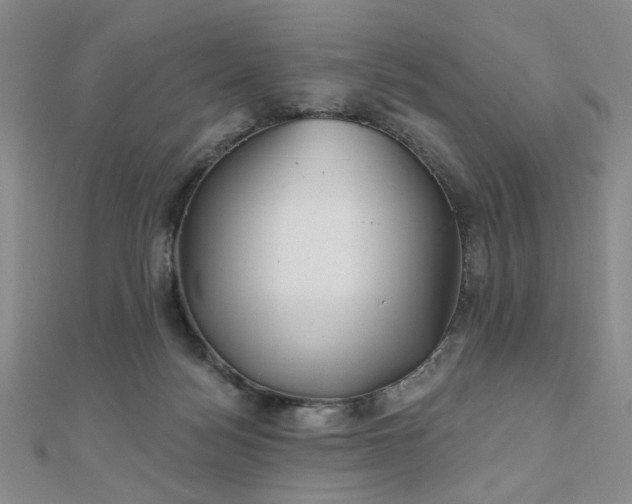 X0000111000172200906191558