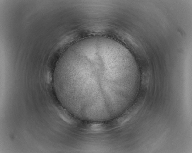 X0000111000173200906191558