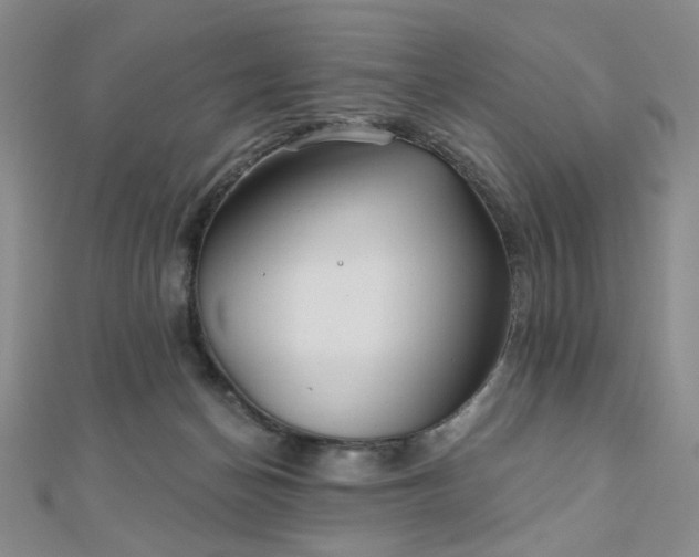 X0000111000174200906191558