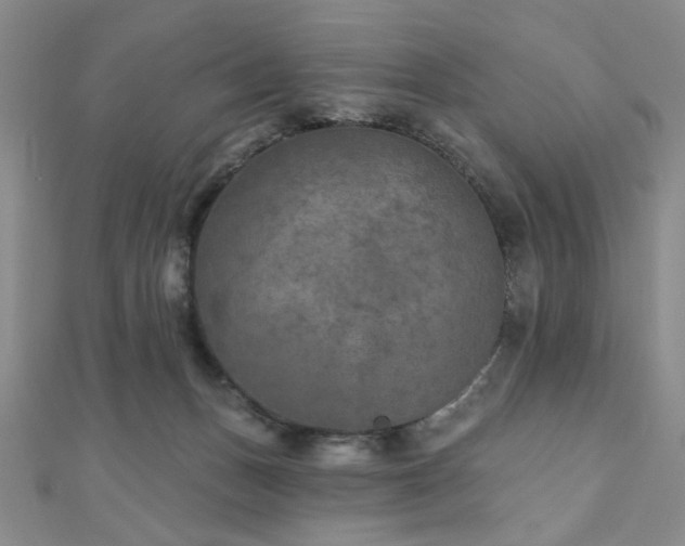 X0000111000175200906191558