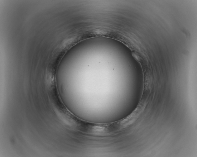 X0000111000176200906191558